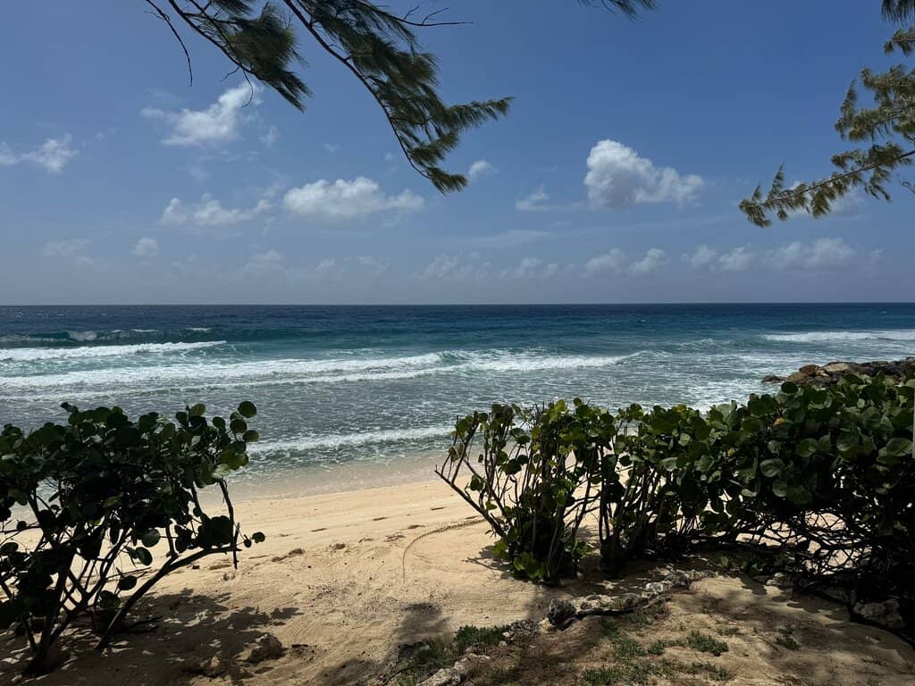 Coastal Hikes & Views