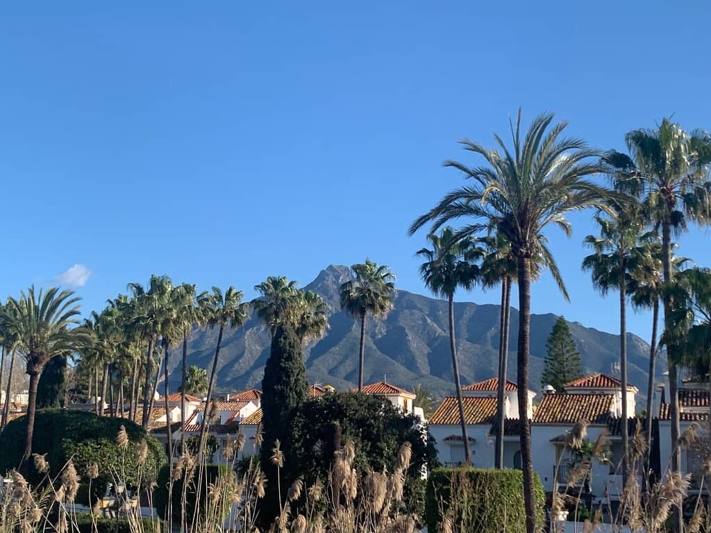 Scenic Beach Vistas