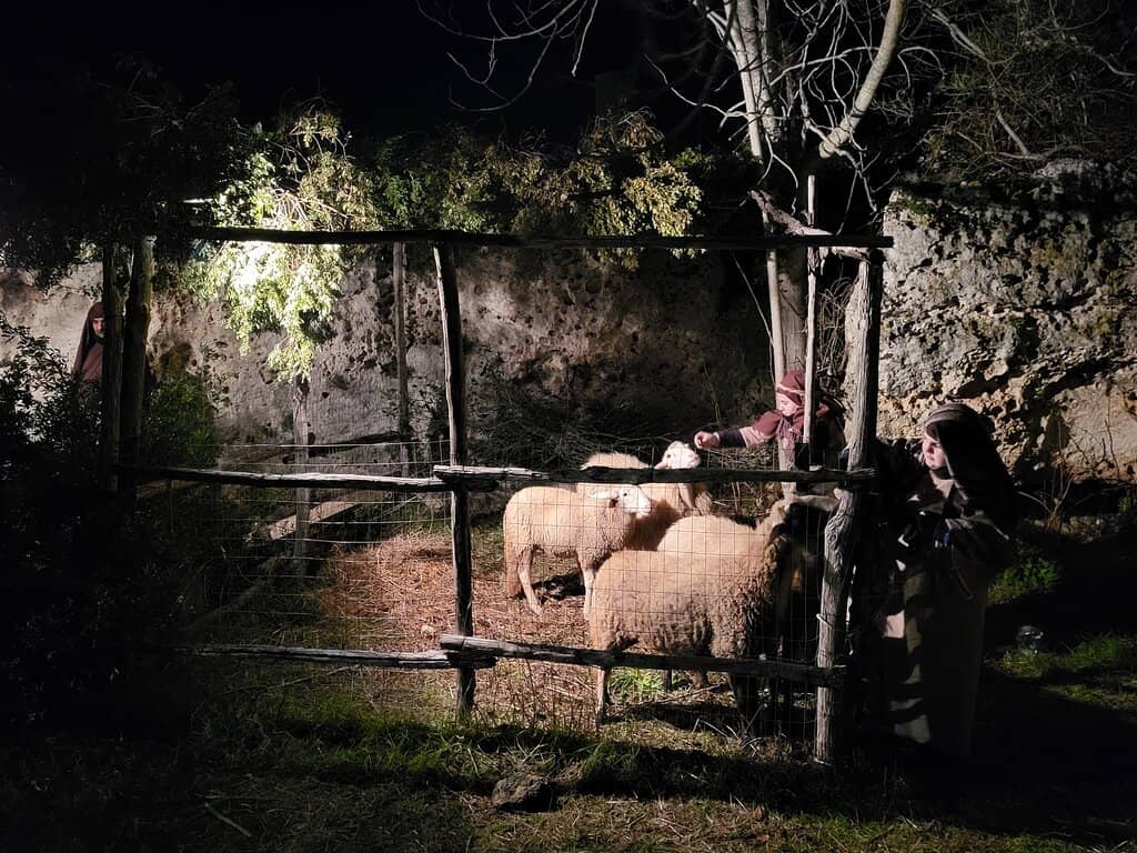 18th-Century Pipe Organ