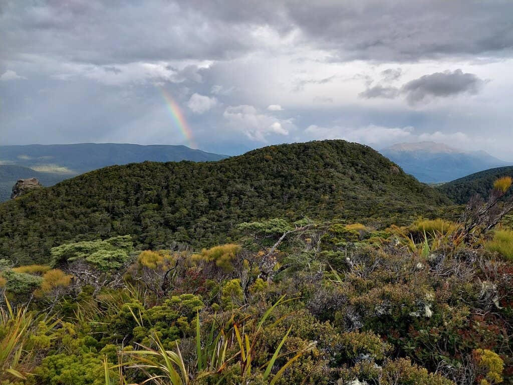 Pristine Coastal Beaches