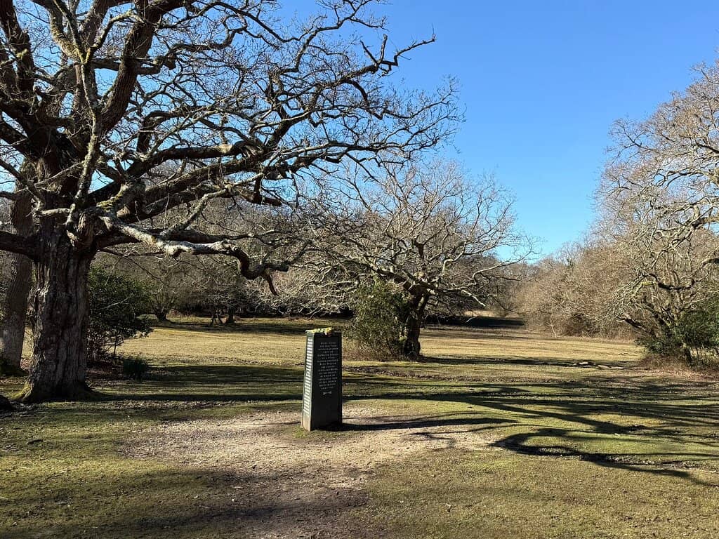 New Forest Walks