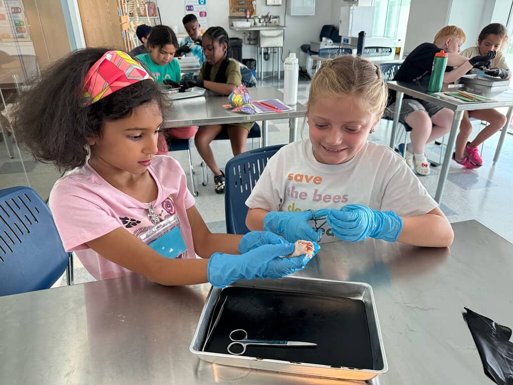 Les Paul's House of Sound