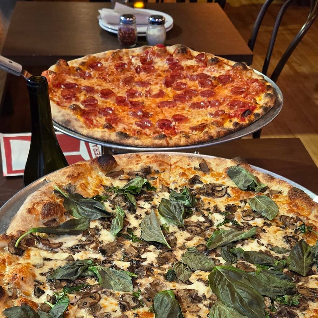 Family-Friendly Atmosphere