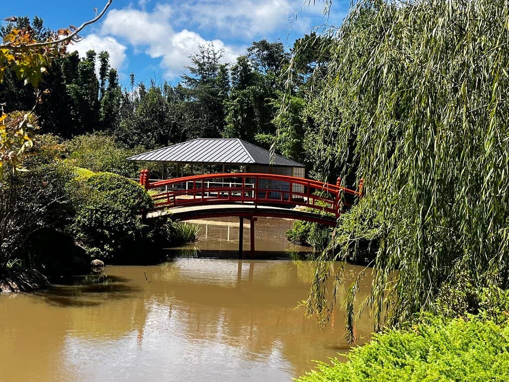 Tranquil Lake Pavilion