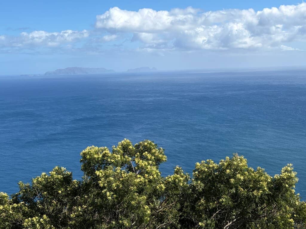 Machico Valley Panorama