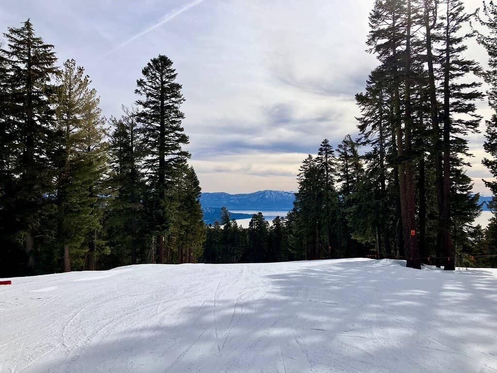 Village Ice Skating