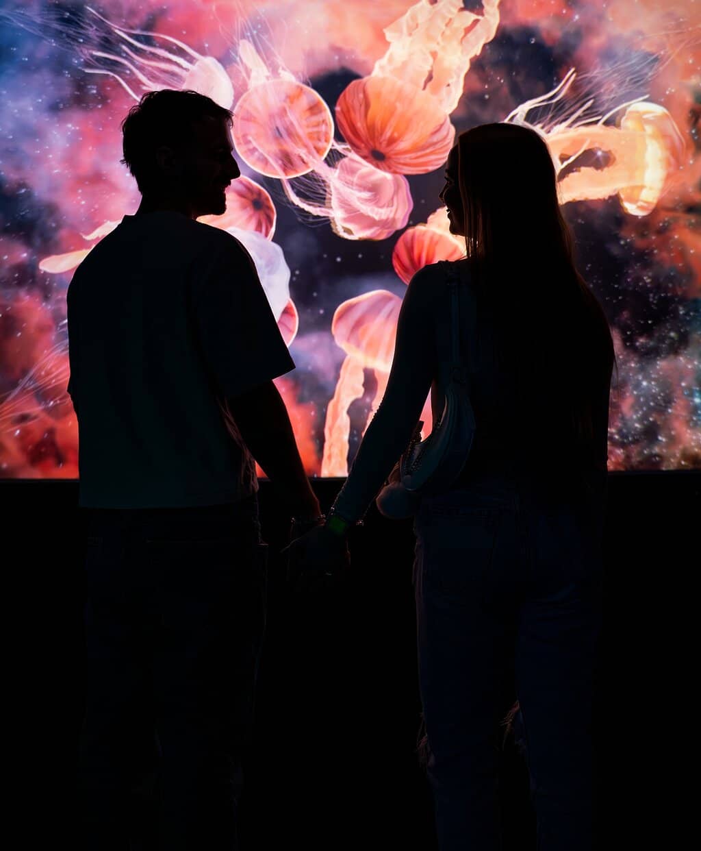 Interactive Art Installations