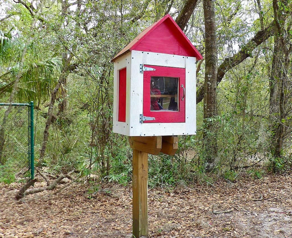 Boardwalk to the Lake