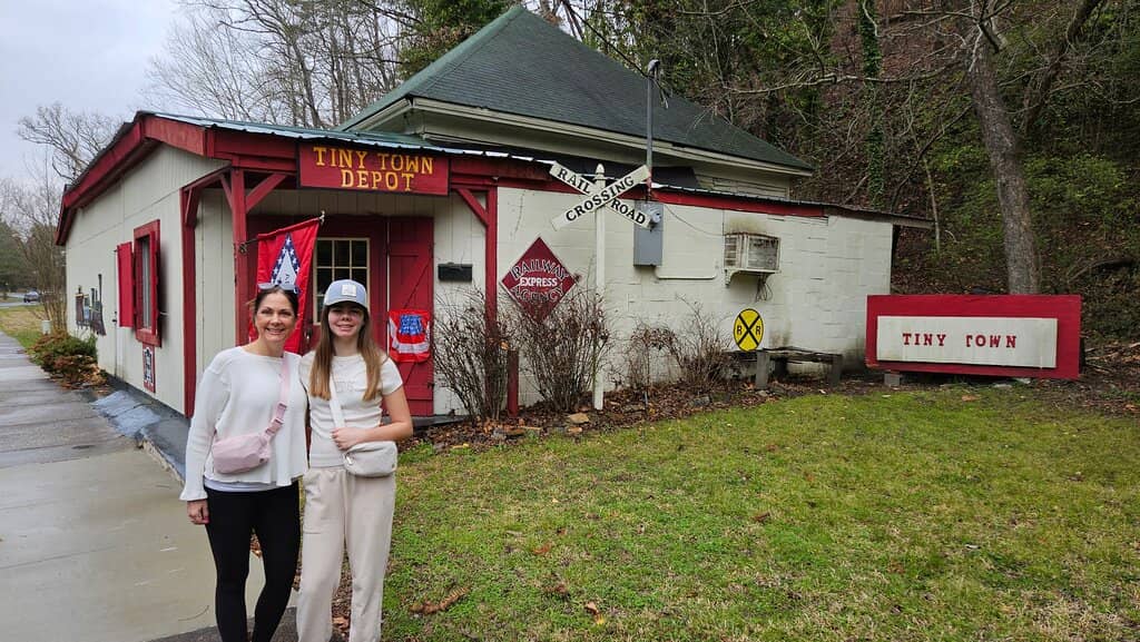 Intricate Miniature Villages