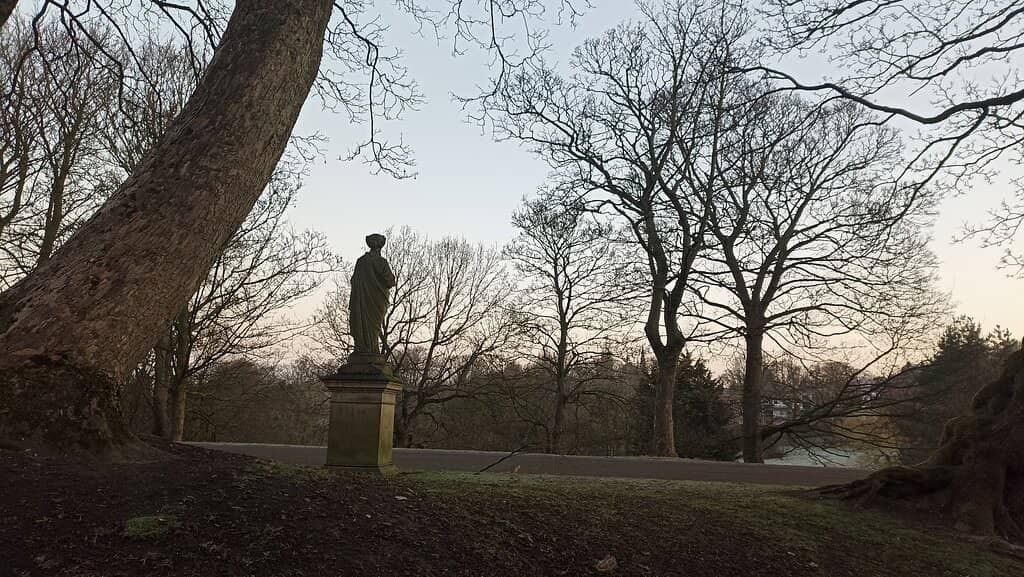 Playgrounds & Obstacle Course