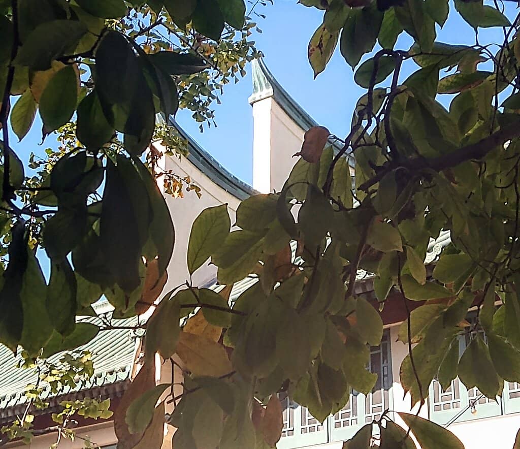 Cai Guo-Qiang: A Material Odyssey