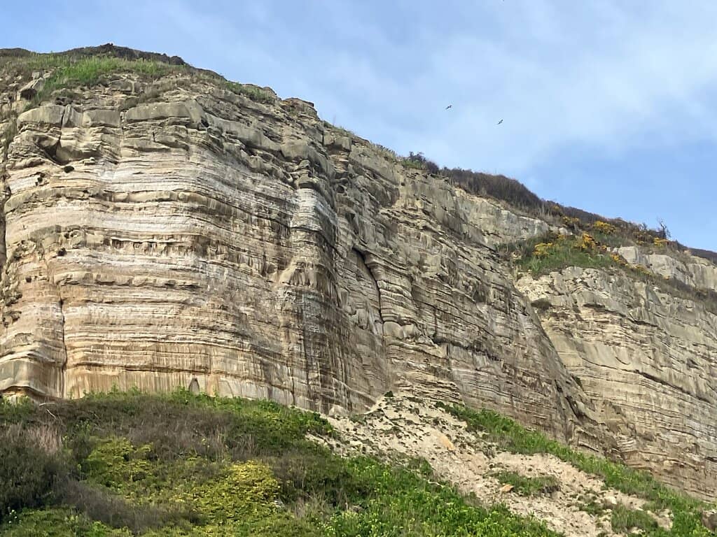 Vertical photo
