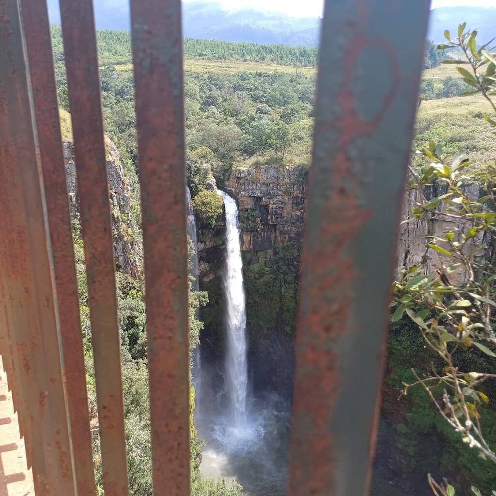 Viewing Platform
