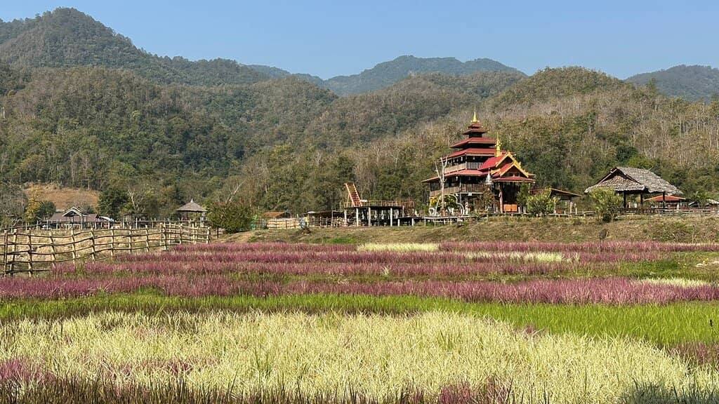 The 800m Bamboo Walkway