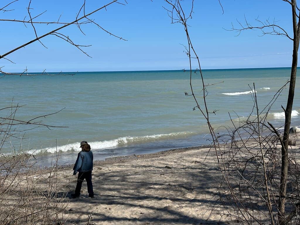 Lake Michigan Shoreline