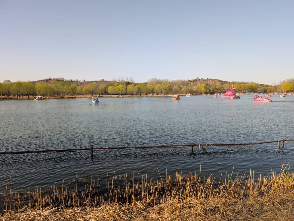 Light Festival Spectacle