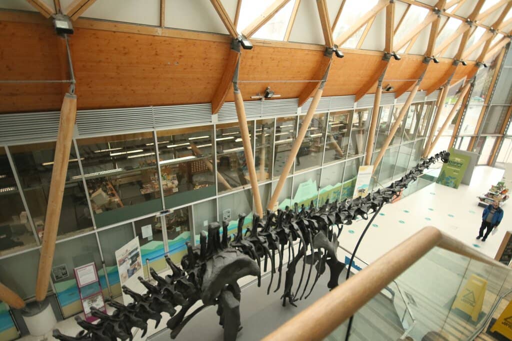 Caribbean Connections