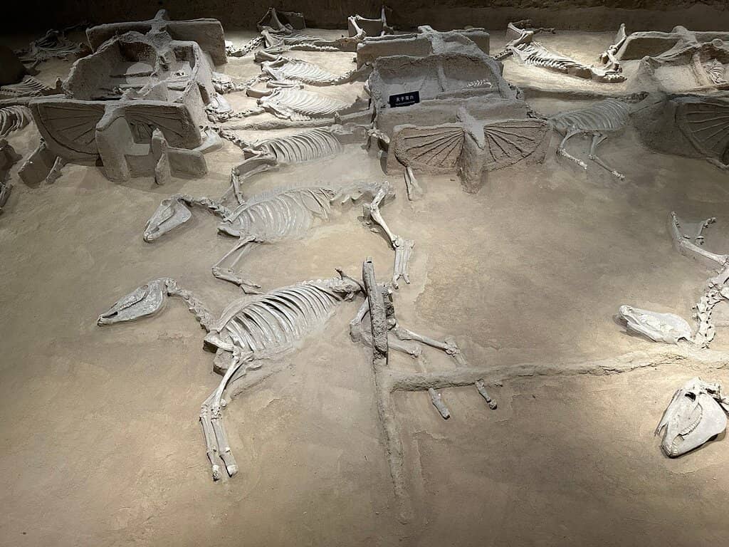 Bronze, Stone, and Bone Wares