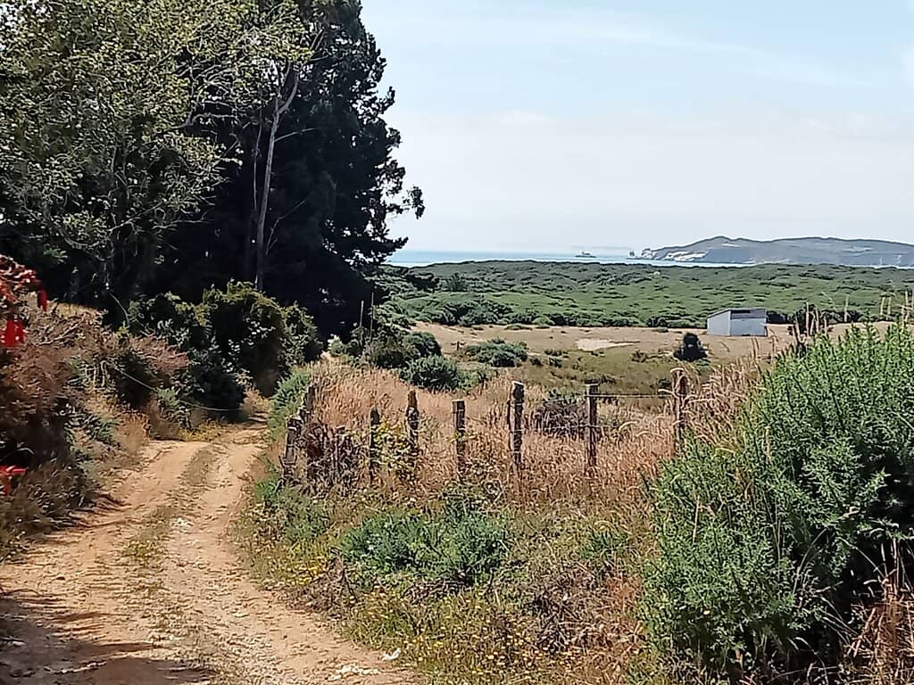 Peninsula de Lacuy Scenery