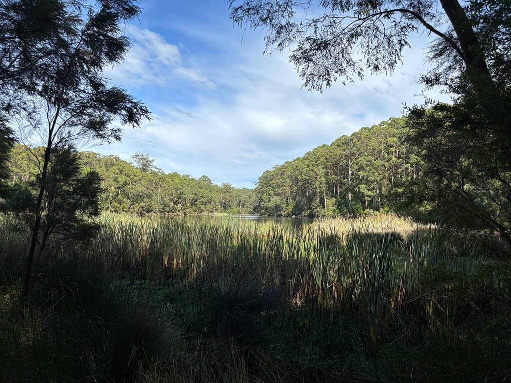 Picnic & Dam Exploration