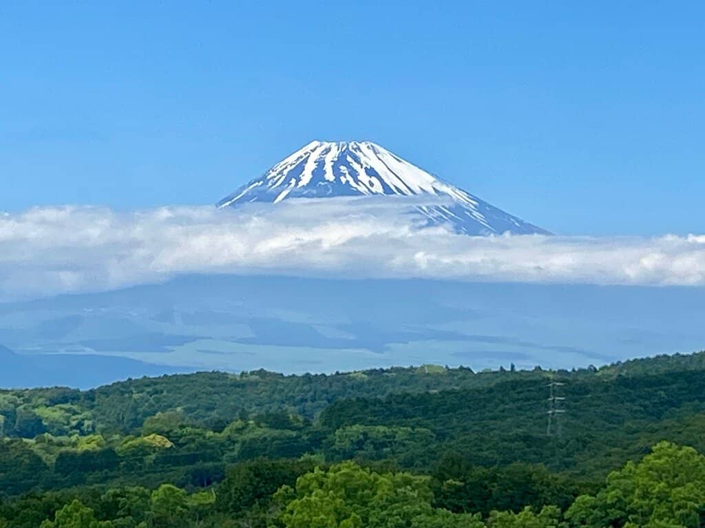 Thrilling Zipline Adventure