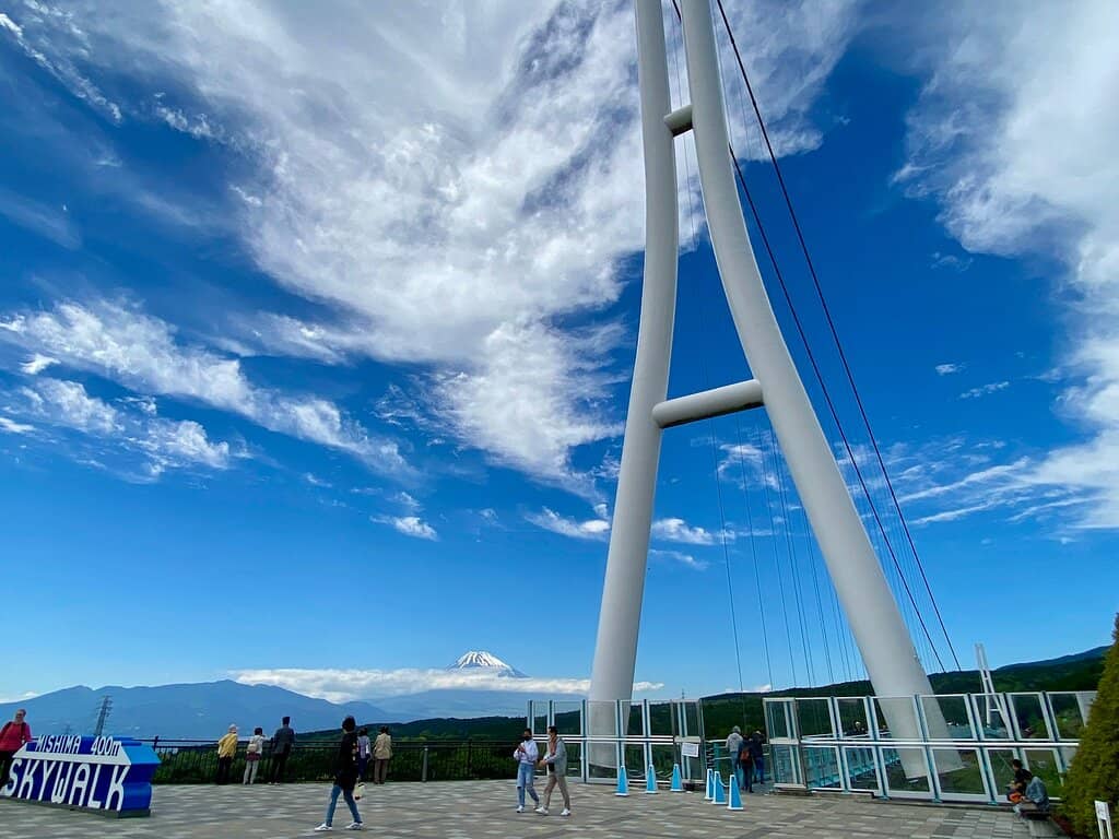 Majestic Mount Fuji Views