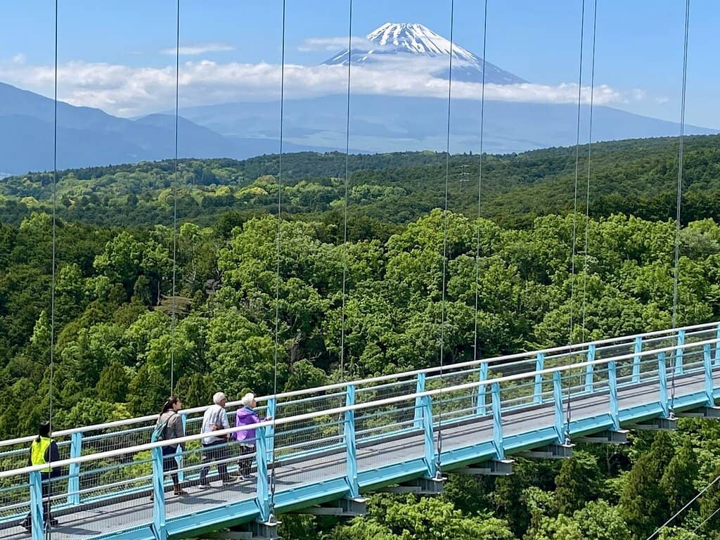 Vertical photo