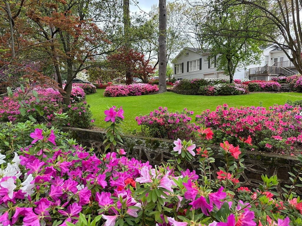 Bergfeld Park