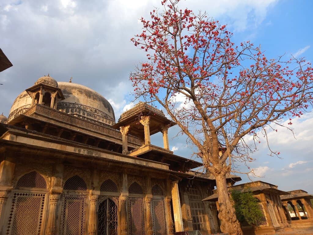 Hexagonal Kiosks and Dome