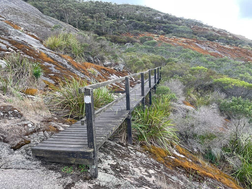 Nancy's Peak Trail