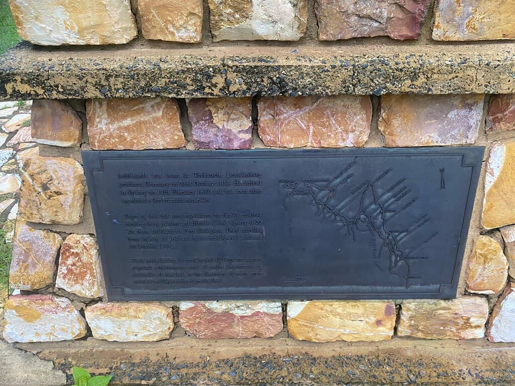 Vibrant Festival Hub