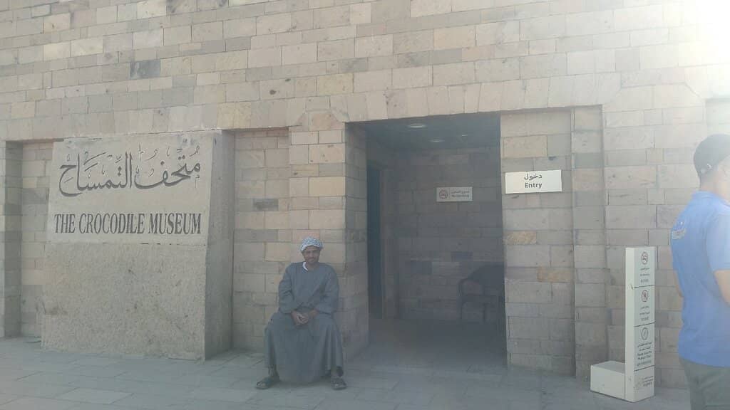 Ancient Crocodile Eggs