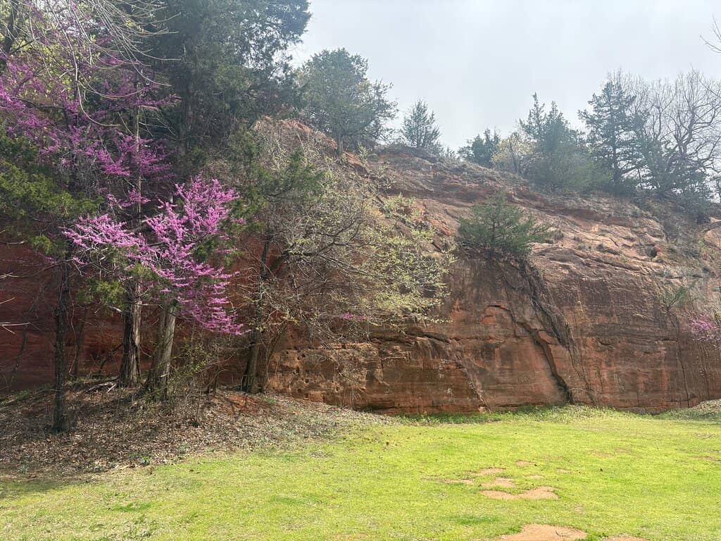 Shaded Hiking Paths