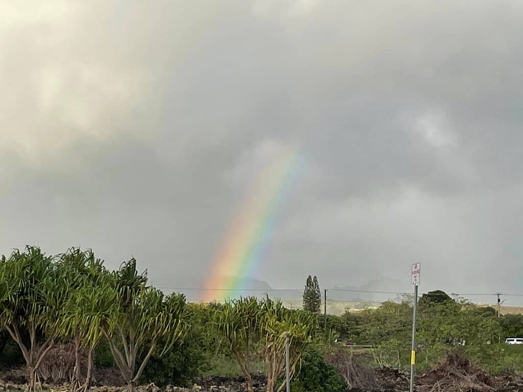 Kauai Island Brewery
