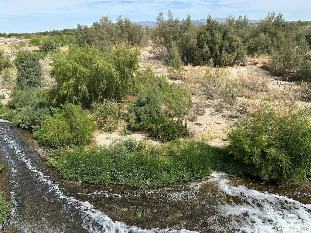 Chuck Huckelberry Loop