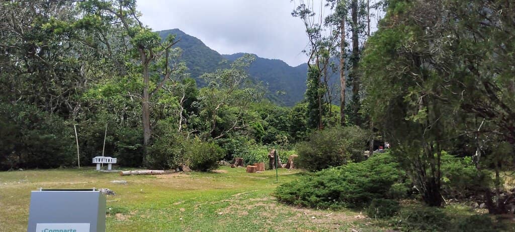 Exotic Bird Collection