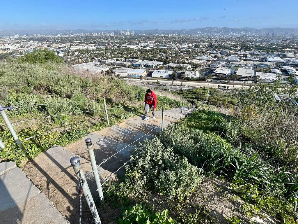 Vertical photo