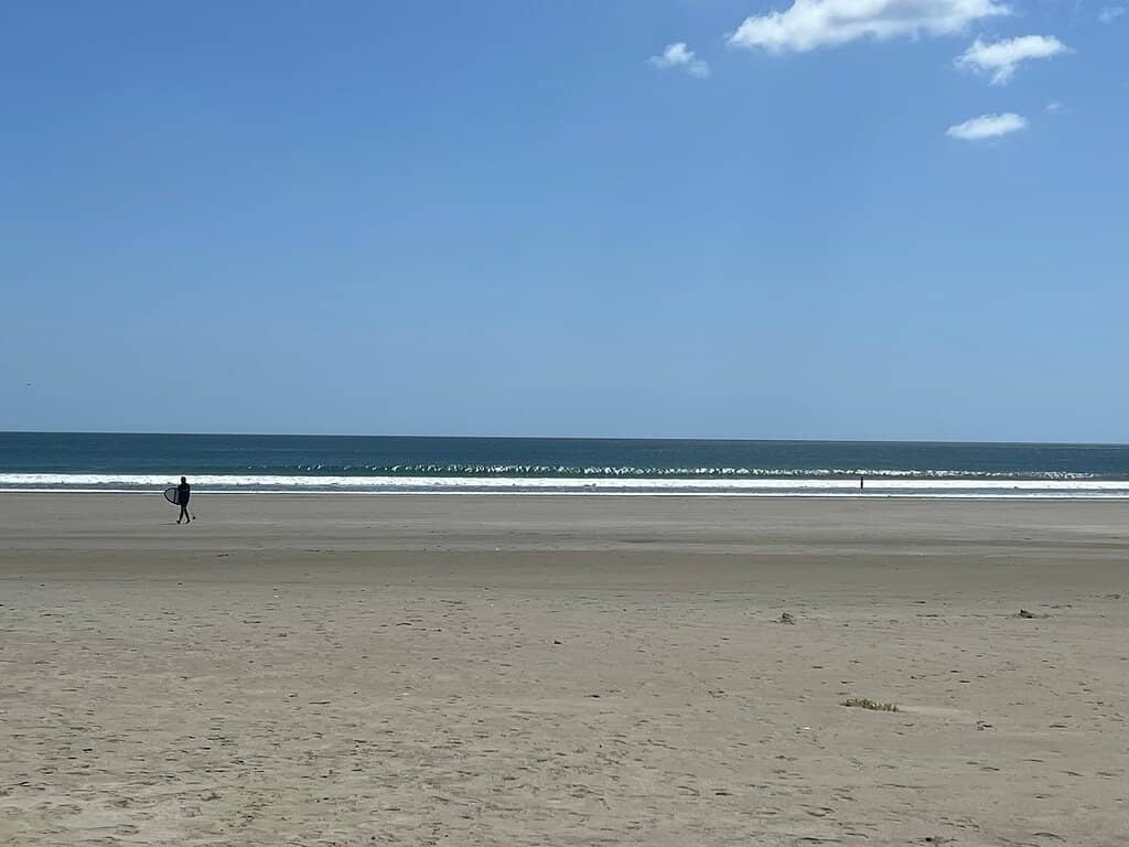 Surfer's Paradise
