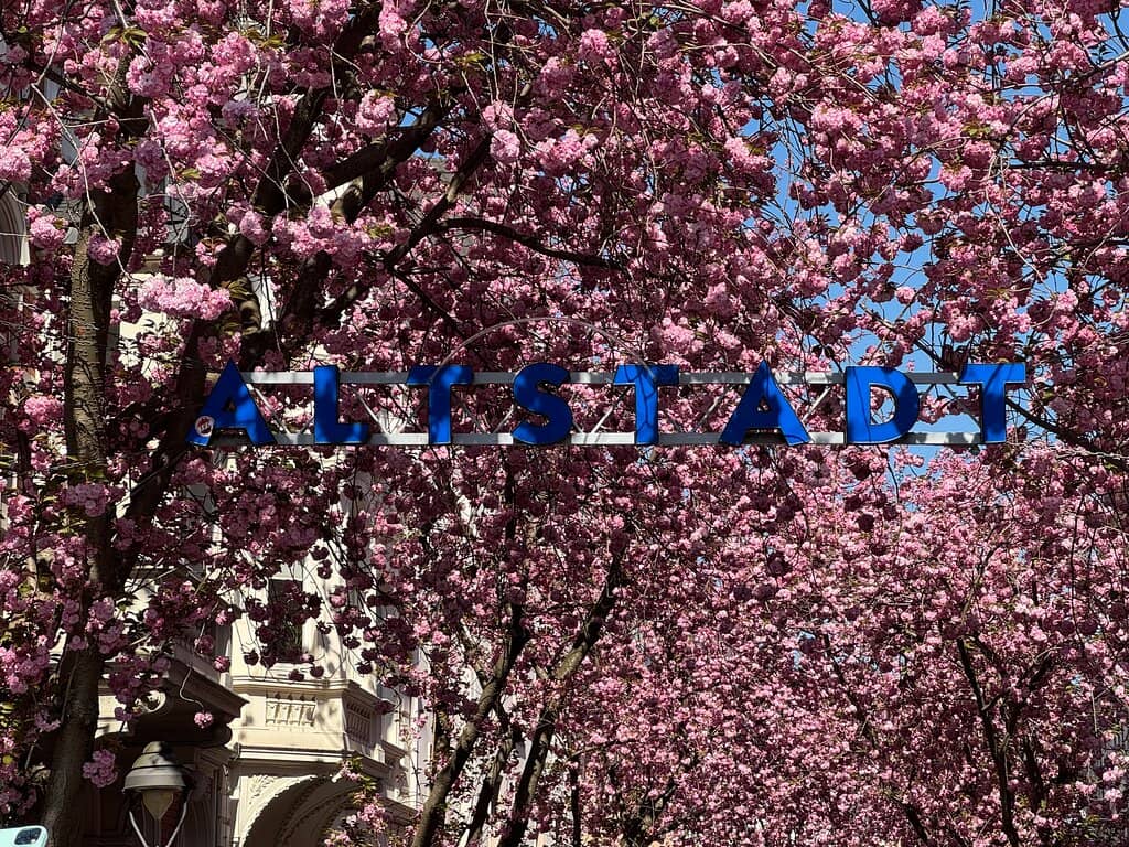 Local Cafes and Strolls