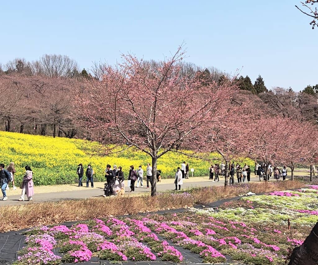 Street Food Extravaganza
