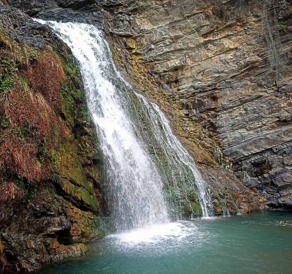 Scenic Forest Trails