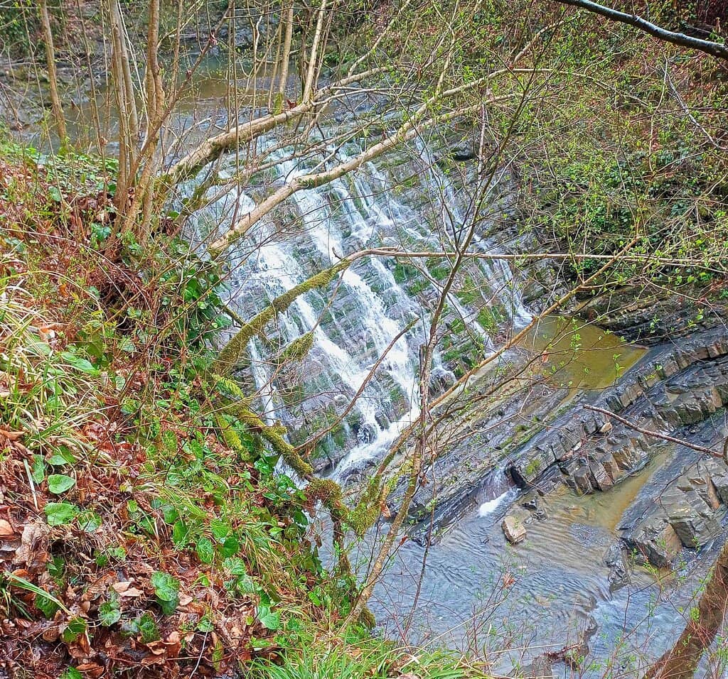 Vertical photo
