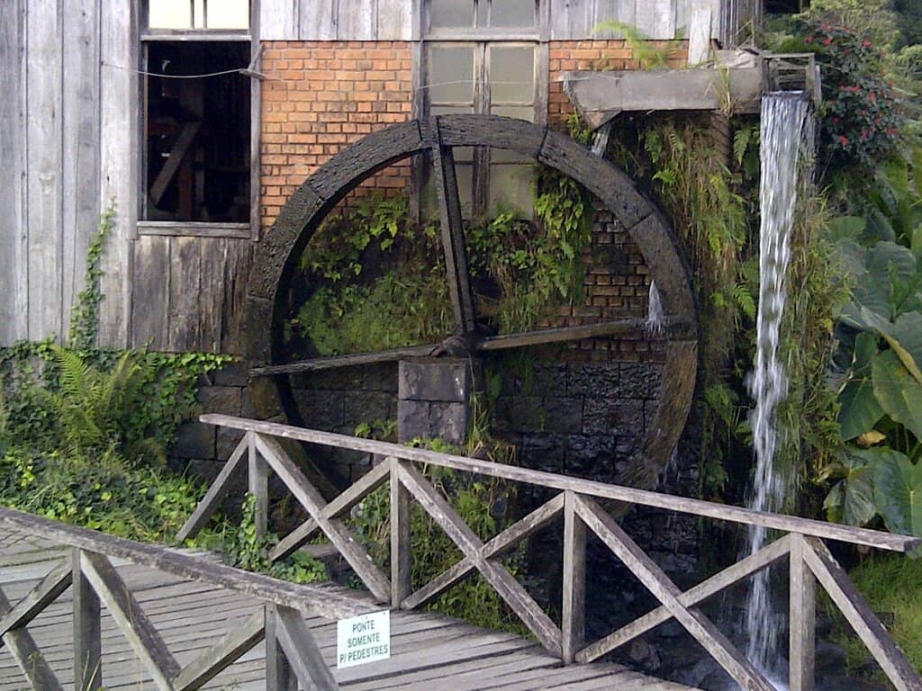 Erva-Mate Production Tour