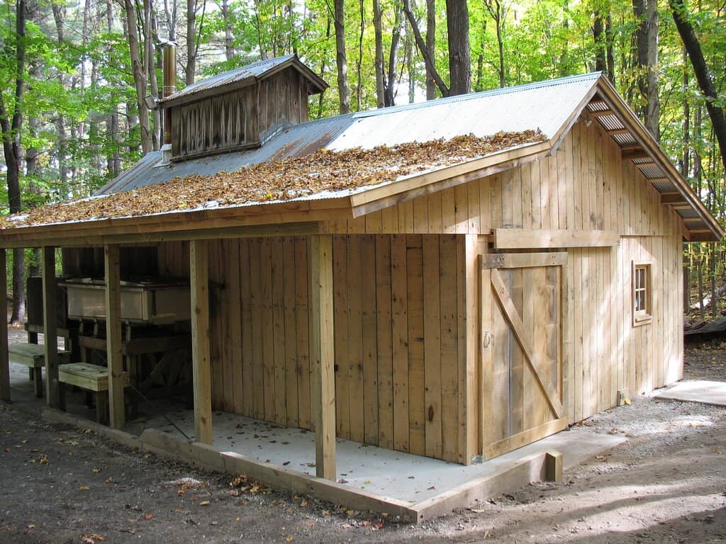 Mountain Biking Trails