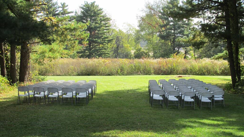 Wildflower and Trillium Blooms