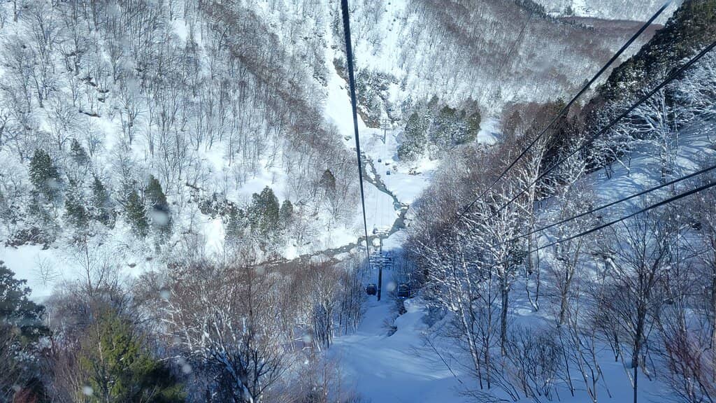 Beginner-Friendly Slopes