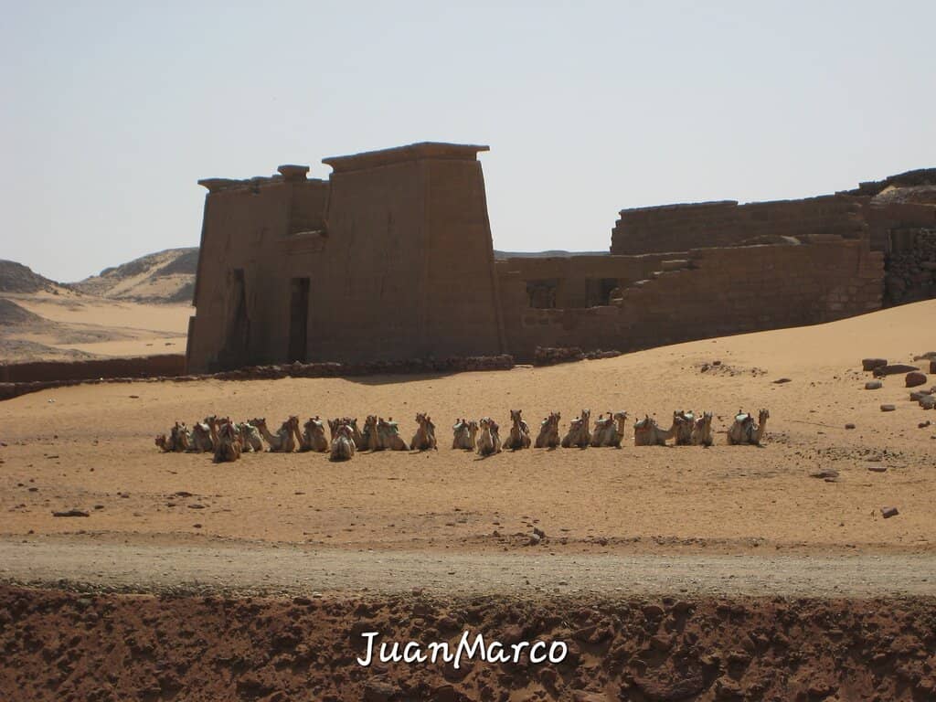 Colossus of Ramses II