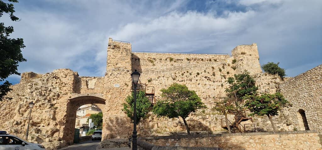 Vertical photo
