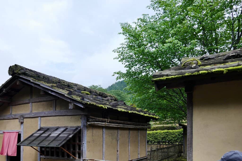 Nature and History Blend