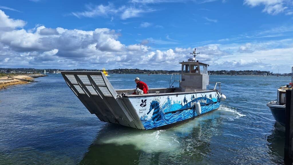 Red Squirrel Spotting